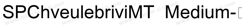SPChveulebriviMT Medium字体转换